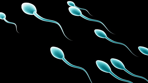 روش‌های افزایش کیفیت و حجم اسپرم مردان